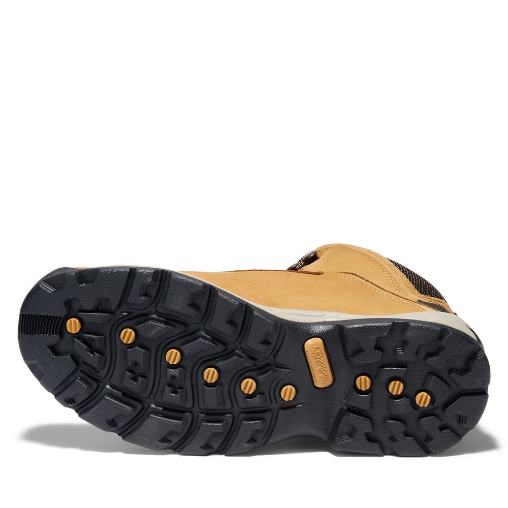 Botas de Caminhada Masculino - Timberland White Ledge Mid Impermeavel - UAWTD1528 - Marrom/Pretas